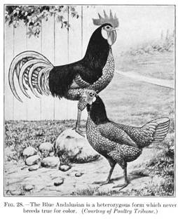 image020.jpg